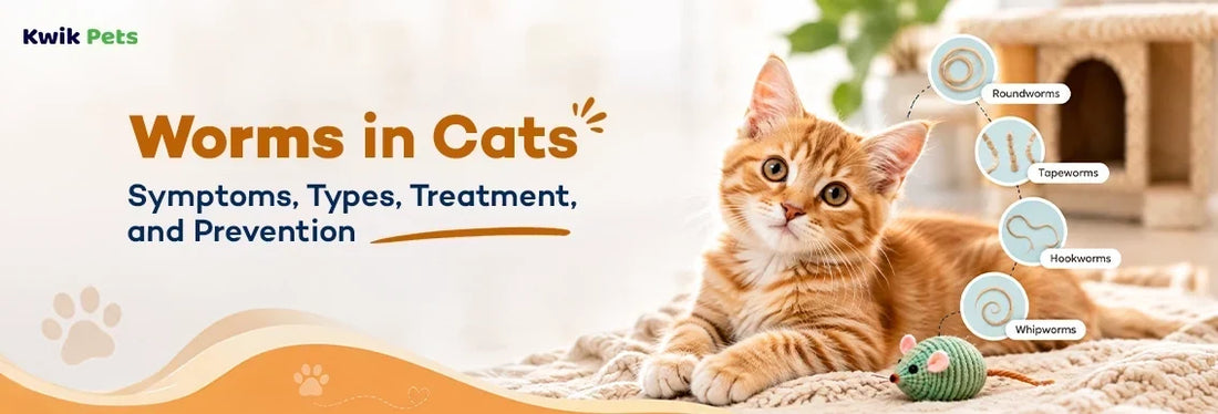 Worms in Cats: Symptoms, Types, Treatment, and Prevention