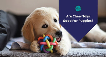 Are Chew Toys Good For Puppies?