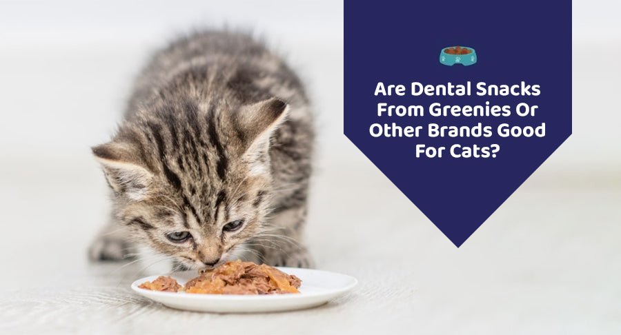 Are Dental Snacks From Greenies Or Other Brands Good For Cats? - Kwik Pets