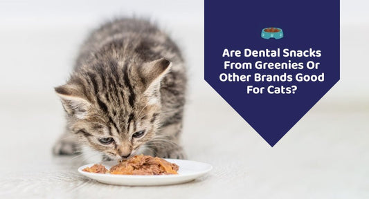 Are Dental Snacks From Greenies Or Other Brands Good For Cats? - Kwik Pets
