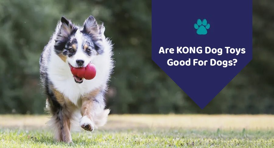 Are KONG Dog Toys Good For Dogs?