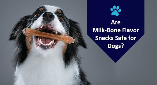 Are Milk-Bone Flavor Snacks Safe for Dogs? - Kwik Pets