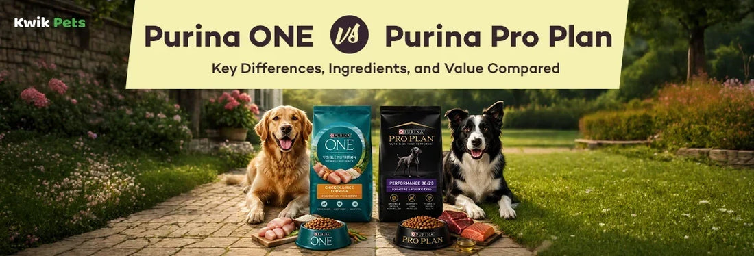 purina one vs purina pro plan