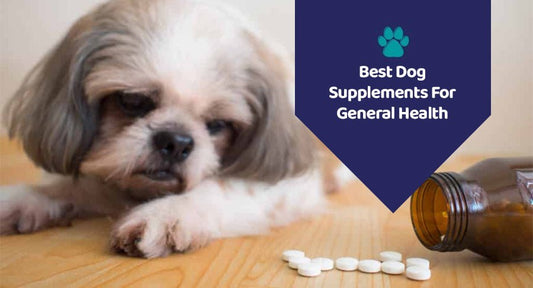 Best Dog Supplements For General Health - Kwik Pets