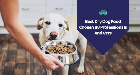 Best Dry Dog Food Chosen By Professionals And Vets - Kwik Pets
