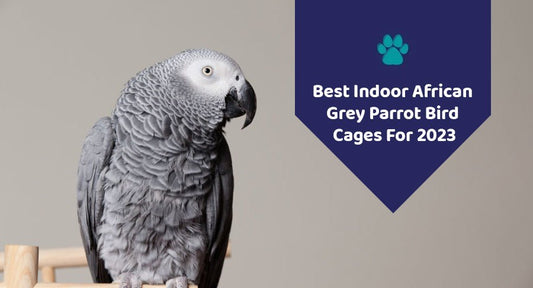 Best Indoor African Grey Parrot Bird Cages For 2023 - Kwik Pets