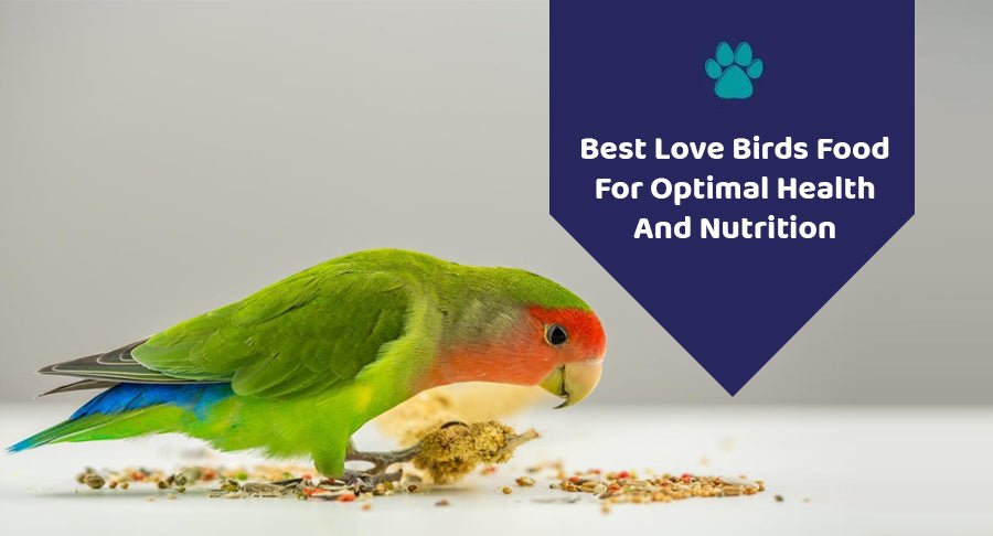 Best Love Birds Food For Optimal Health And Nutrition
