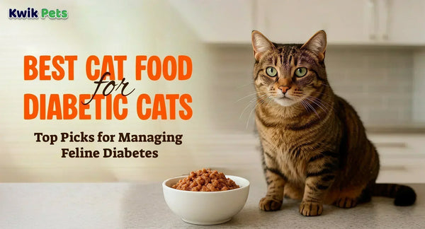 Best Cat Food for Diabetic Cats: Top Picks for Managing Feline Diabetes