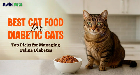 Best Cat Food for Diabetic Cats: Top Picks for Managing Feline Diabetes