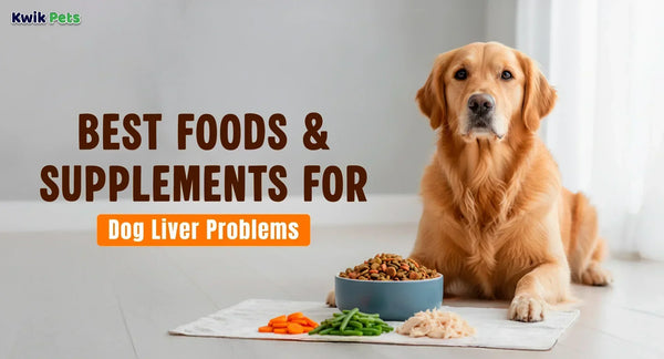best dog food for liver problems