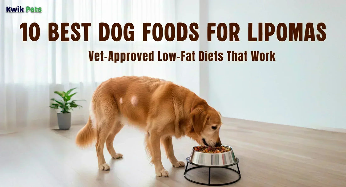 best dry dog food for lipomas