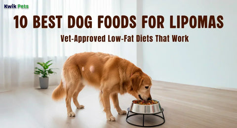 10 Best Dog Foods for Lipomas: Vet-Approved Low-Fat Diets That Work