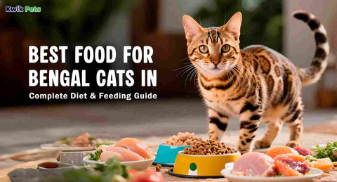 Best Food for Bengal Cats in 2026: Vet-Informed Picks, Feeding Charts & Diet Guide