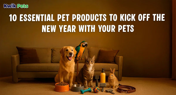 10 Essential Pet Products to Kick Off the New Year with Your Pets