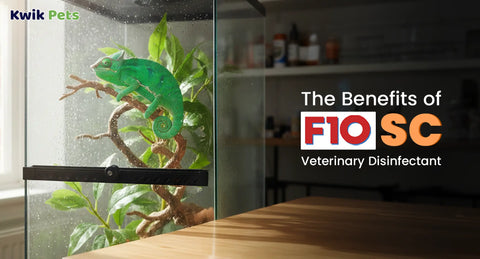 The Benefits of F10SC Veterinary Disinfectant