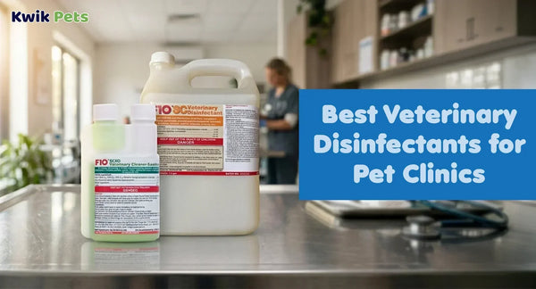 Veterinary Disinfectants for Pet Clinics
