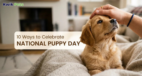 10 Ways to Celebrate National Puppy Day
