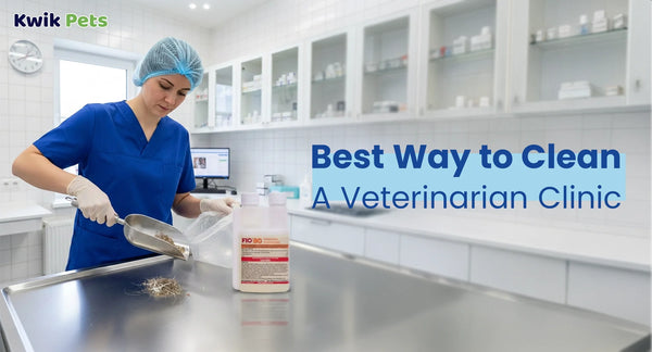 Best Way to Clean A Veterinarian Clinic