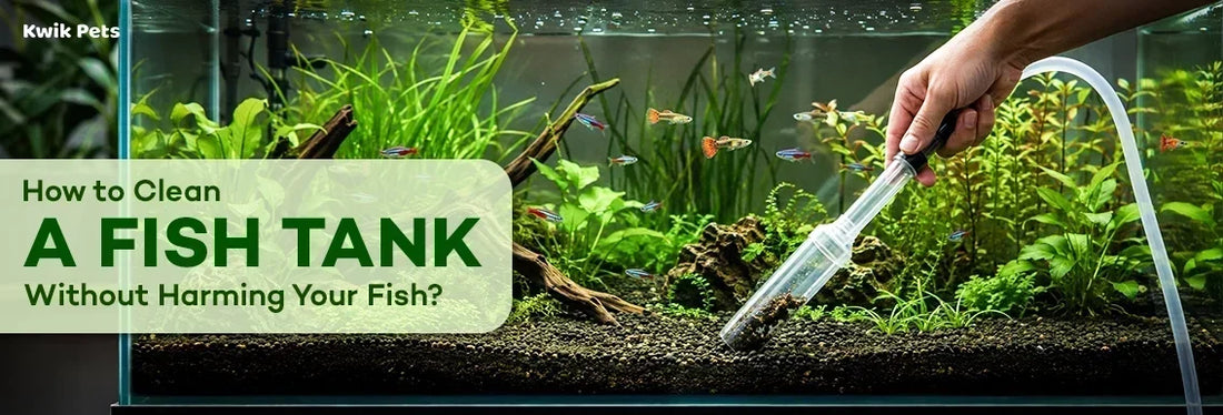 how do you clean a fish tank