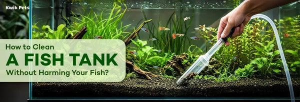 how do you clean a fish tank