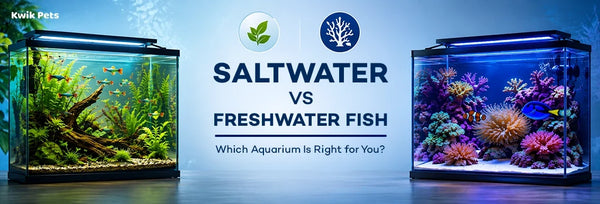 saltwater vs freshwater fish