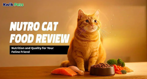 Nutro Cat Food Review: Nutrition and Quality for Your Feline Friend