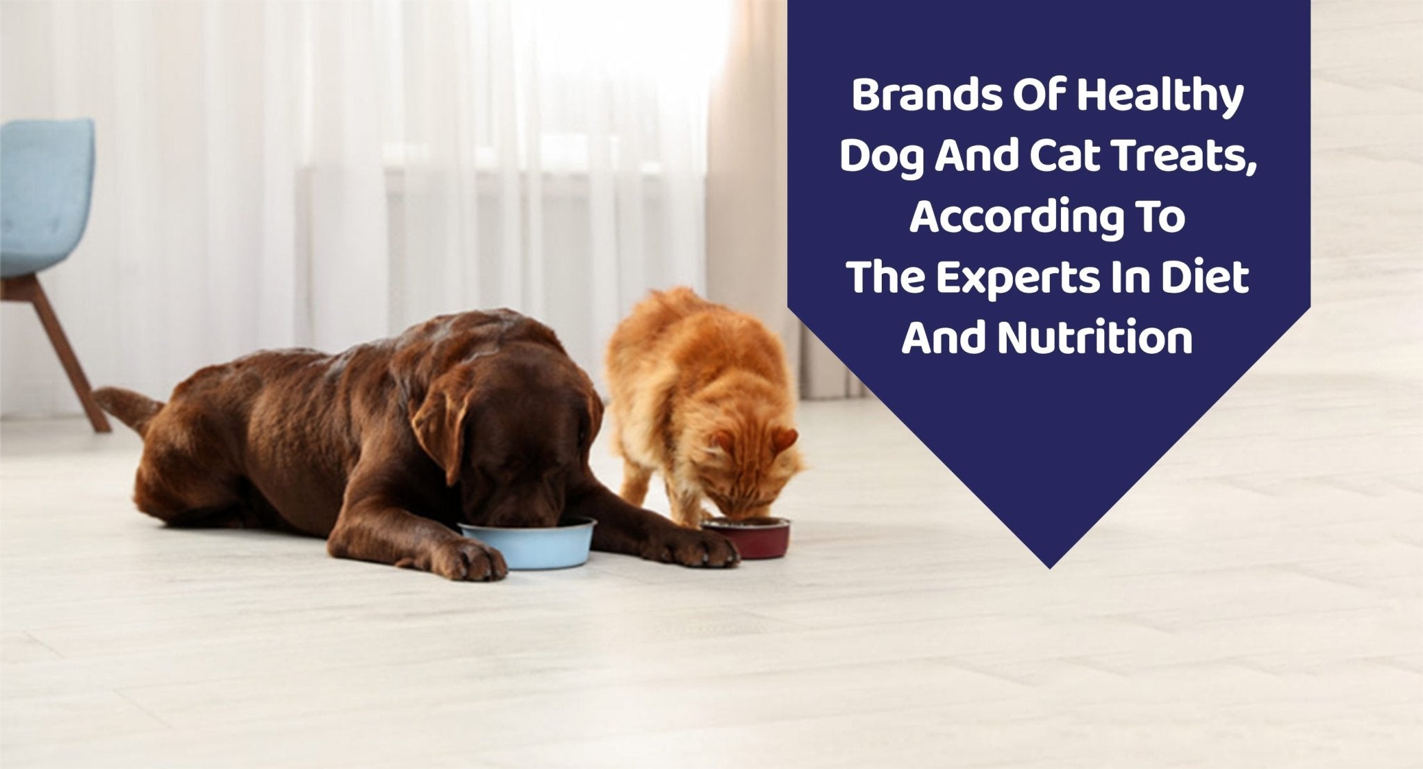 Brands Of Healthy Dog And Cat Treats, According To The Experts In Diet And Nutrition