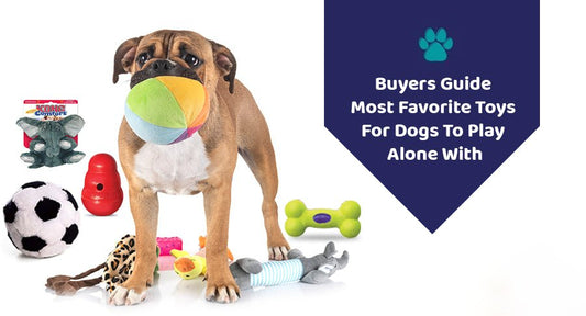 Buyers Guide – Most Favorite Toys For Dogs To Play Alone With - Kwik Pets