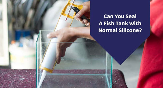 Can You Seal A Fish Tank With Normal Silicone? - Kwik Pets