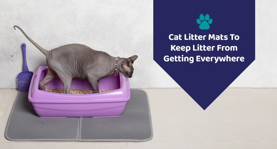 Petlinks Petlinks Purr-Fect Paws Cat Litter Mat - Gray - Large