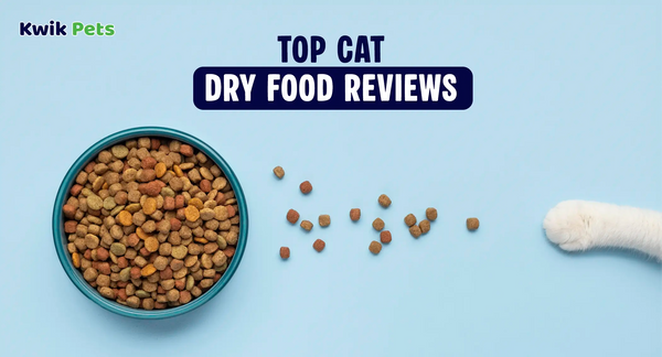 Honest Cat Dry Food Reviews: Find the Best Option for Your Feline