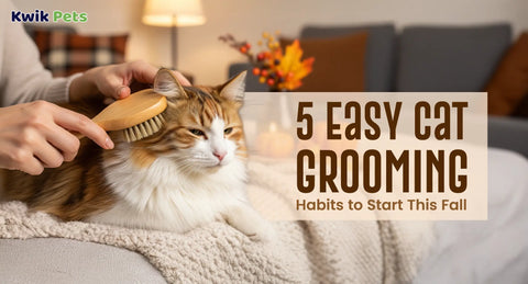 5 Easy Cat Grooming Habits to Start This Fall