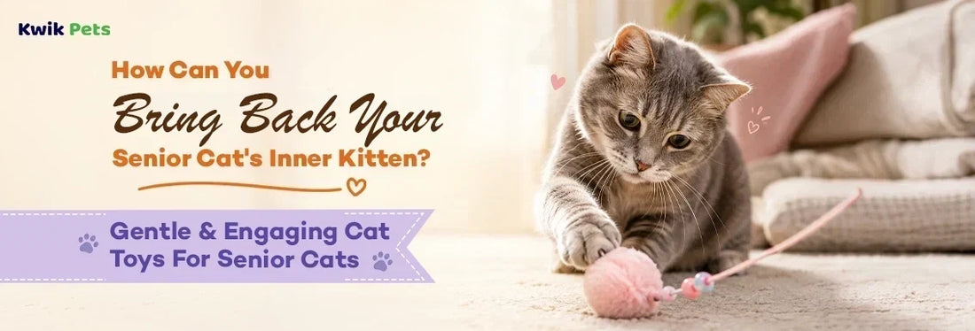 cat toys for senior cats