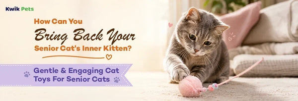 cat toys for senior cats
