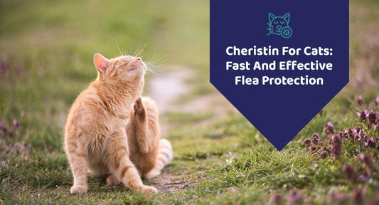 Cheristin For Cats: Fast And Effective Flea Protection - Kwik Pets