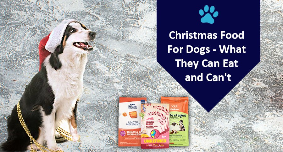 Christmas Food For Dogs - What They Can Eat and Can't - Kwik Pets