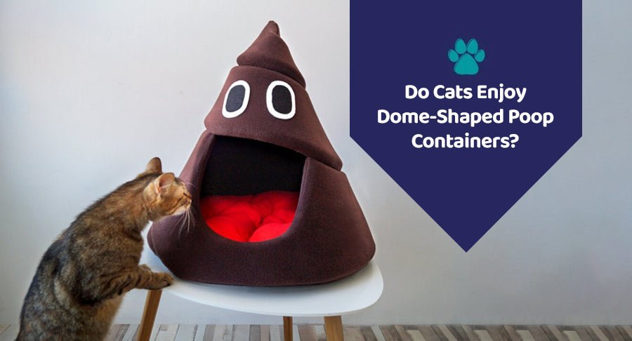 Do Cats Enjoy Dome-Shaped Poop Containers?
