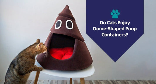 Do Cats Enjoy Dome-Shaped Poop Containers? - Kwik Pets