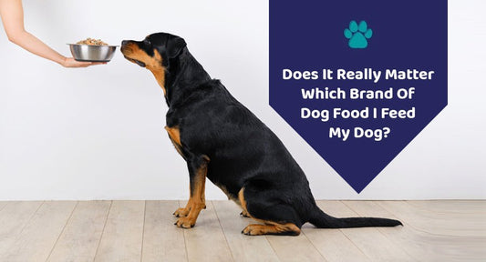 Does It Really Matter Which Brand Of Dog Food I Feed My Dog? - Kwik Pets