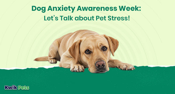 Dog anxiety awareness week