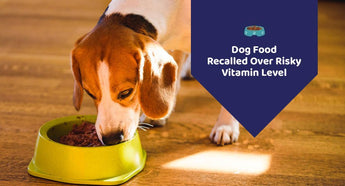 Dog Food Recalled Over Risky Vitamin Level