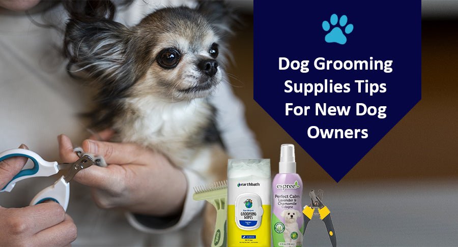Dog Grooming Supplies Tips For New Dog Owners - Kwik Pets