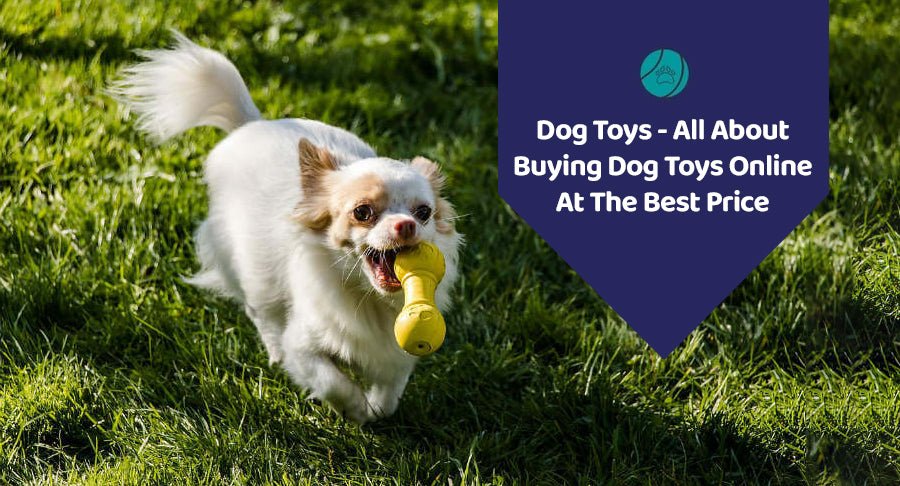 Dog Toys- All About Buying Dog Toys Online At The Best Price
