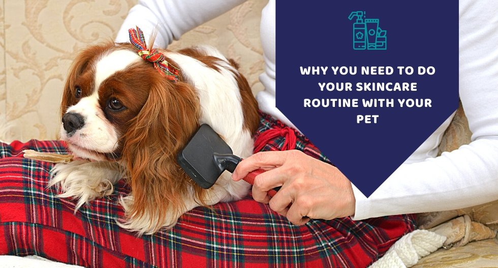 Doing Your Skincare Routine Along With Your Pet