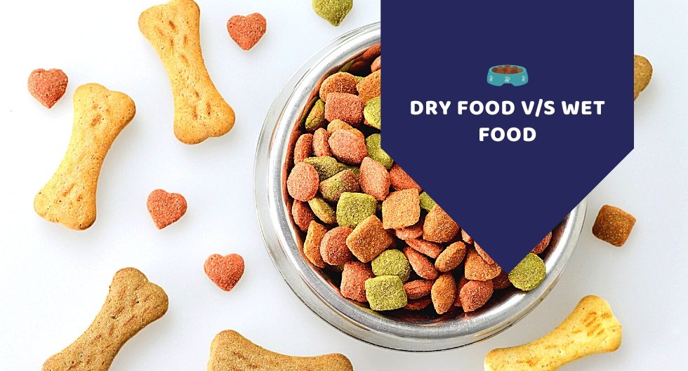Dry Food vs Wet Food - What's Good For Your Furry Friend - Kwik Pets