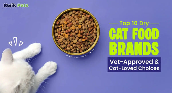 Top 10 Dry Cat Food Brands in 2026: Vet-Approved & Cat-Loved Choices