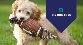 Easy to Make DIY Dog Toys at Home