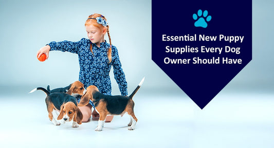 Essential New Puppy Supplies Every Dog Owner Should Have - Kwik Pets
