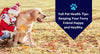 Fall Pet Health Tips: Keeping Your Furry Friend Happy and Healthy