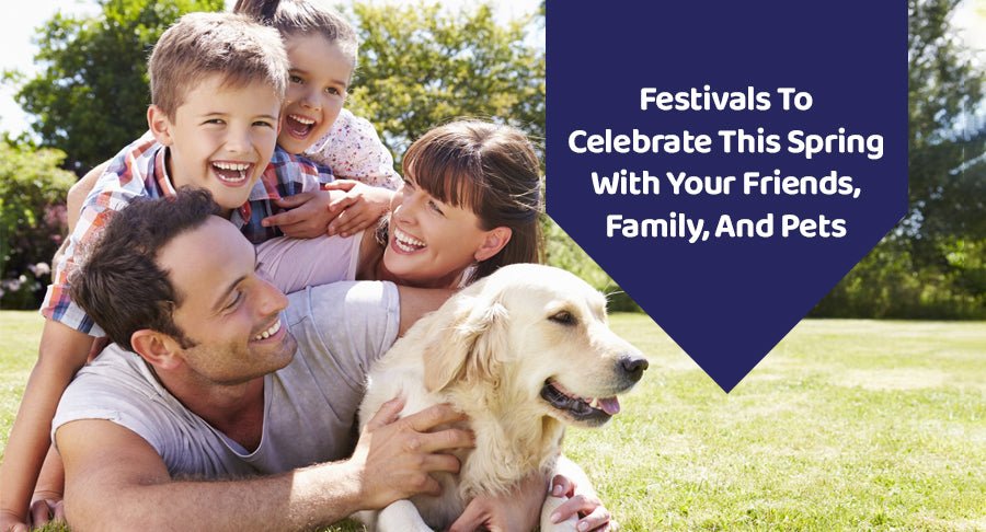Festivals To Celebrate This Spring With Your Friends, Family, And Pets - Kwik Pets